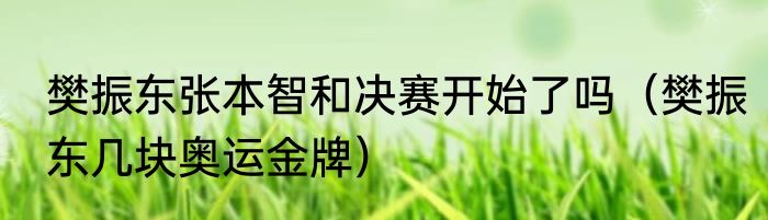 樊振东张本智和决赛开始了吗（樊振东几块奥运金牌）