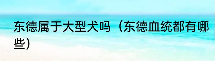 东德属于大型犬吗（东德血统都有哪些）