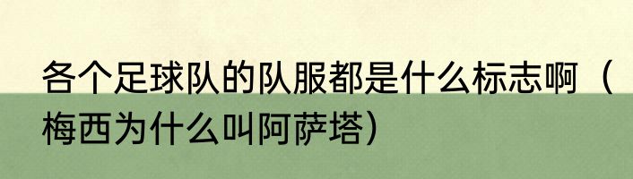 各个足球队的队服都是什么标志啊（梅西为什么叫阿萨塔）