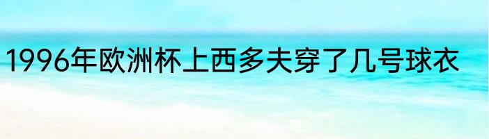 1996年欧洲杯上西多夫穿了几号球衣