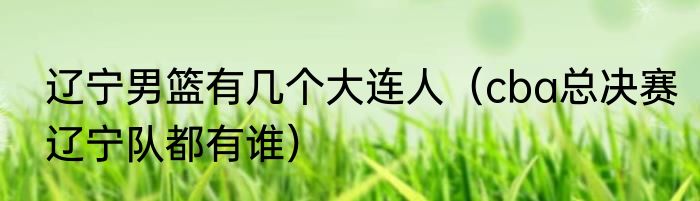 辽宁男篮有几个大连人（cba总决赛辽宁队都有谁）