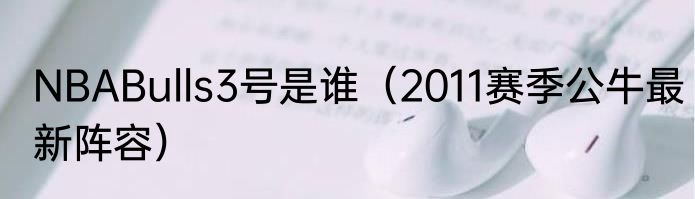 NBABulls3号是谁（2011赛季公牛最新阵容）