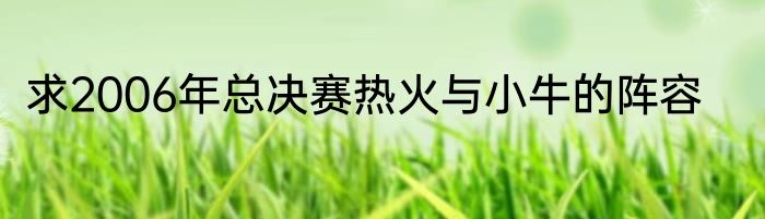 求2006年总决赛热火与小牛的阵容