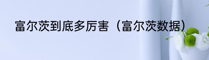 富尔茨到底多厉害（富尔茨数据）