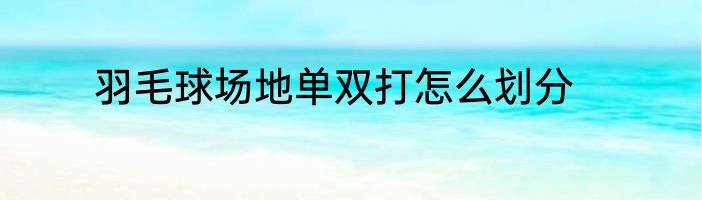 羽毛球场地单双打怎么划分