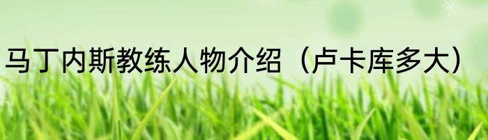 马丁内斯教练人物介绍（卢卡库多大）