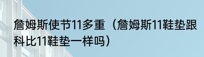 詹姆斯使节11多重（詹姆斯11鞋垫跟科比11鞋垫一样吗）