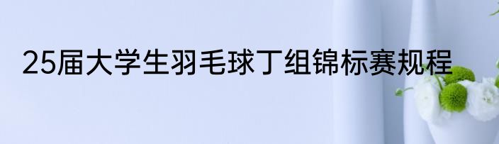 25届大学生羽毛球丁组锦标赛规程