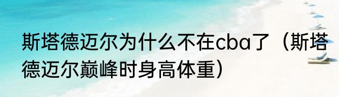 斯塔德迈尔为什么不在cba了（斯塔德迈尔巅峰时身高体重）