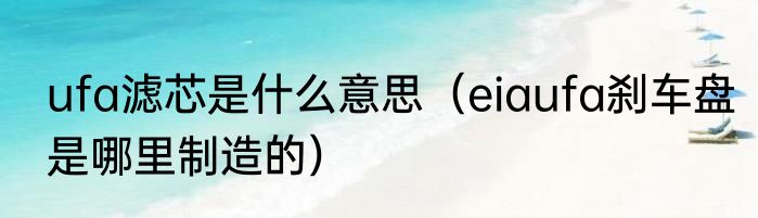 ufa滤芯是什么意思（eiaufa刹车盘是哪里制造的）