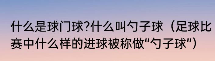 什么是球门球?什么叫勺子球（足球比赛中什么样的进球被称做“勺子球”）