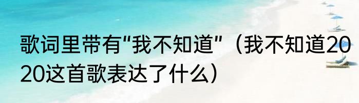 歌词里带有“我不知道”（我不知道2020这首歌表达了什么）