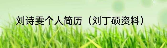 刘诗雯个人简历（刘丁硕资料）