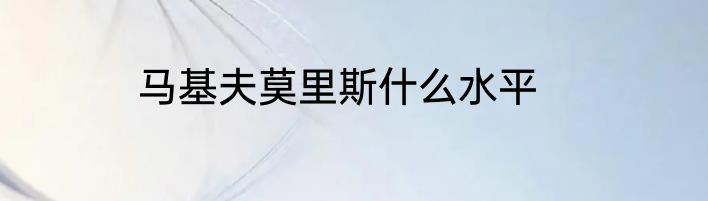 马基夫莫里斯什么水平