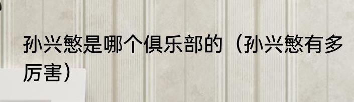 孙兴慜是哪个俱乐部的（孙兴慜有多厉害）