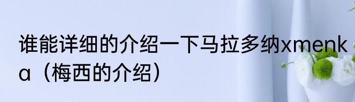 谁能详细的介绍一下马拉多纳xmenka（梅西的介绍）