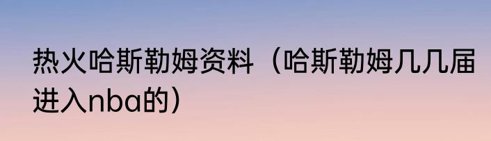 热火哈斯勒姆资料（哈斯勒姆几几届进入nba的）