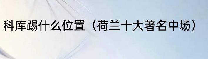 科库踢什么位置（荷兰十大著名中场）