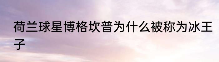 荷兰球星博格坎普为什么被称为冰王子