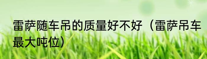 雷萨随车吊的质量好不好（雷萨吊车最大吨位）