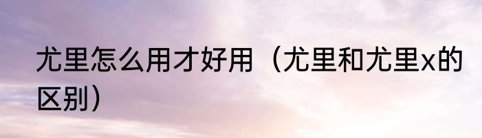 尤里怎么用才好用（尤里和尤里x的区别）