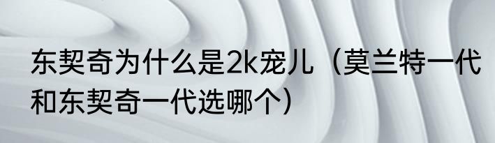 东契奇为什么是2k宠儿（莫兰特一代和东契奇一代选哪个）