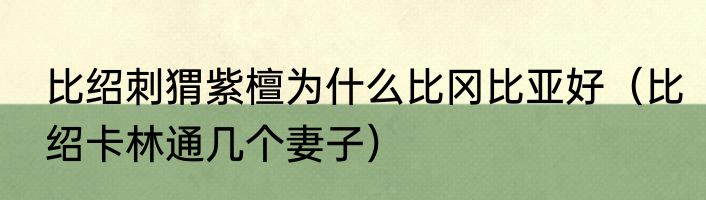 比绍刺猬紫檀为什么比冈比亚好（比绍卡林通几个妻子）