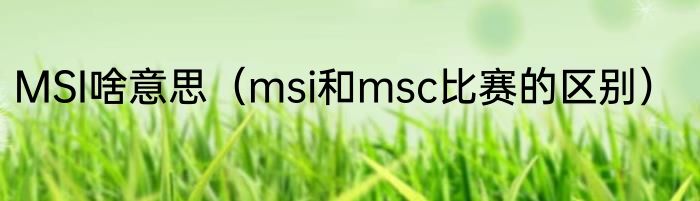 MSI啥意思（msi和msc比赛的区别）