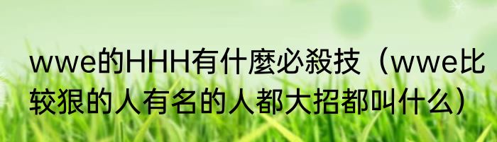 wwe的HHH有什麼必殺技（wwe比较狠的人有名的人都大招都叫什么）