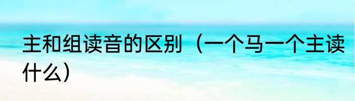 主和组读音的区别（一个马一个主读什么）