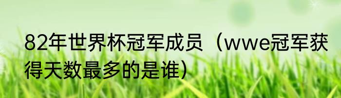 82年世界杯冠军成员（wwe冠军获得天数最多的是谁）
