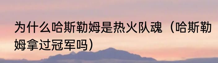 为什么哈斯勒姆是热火队魂（哈斯勒姆拿过冠军吗）