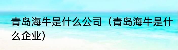 青岛海牛是什么公司（青岛海牛是什么企业）