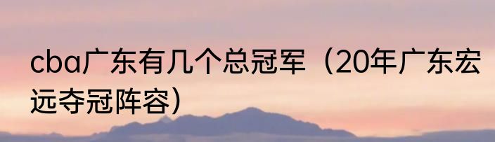 cba广东有几个总冠军（20年广东宏远夺冠阵容）