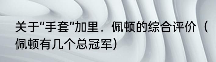 关于“手套”加里．佩顿的综合评价（佩顿有几个总冠军）