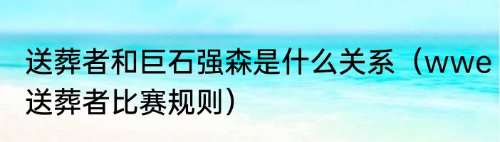 送葬者和巨石强森是什么关系（wwe送葬者比赛规则）