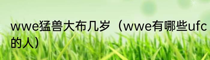 wwe猛兽大布几岁（wwe有哪些ufc的人）