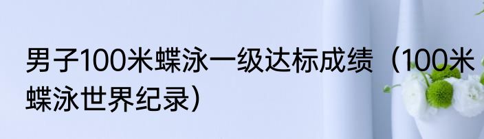 男子100米蝶泳一级达标成绩（100米蝶泳世界纪录）