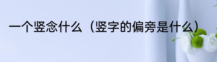 一个竖念什么（竖字的偏旁是什么）