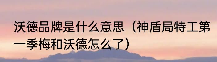 沃德品牌是什么意思（神盾局特工第一季梅和沃德怎么了）