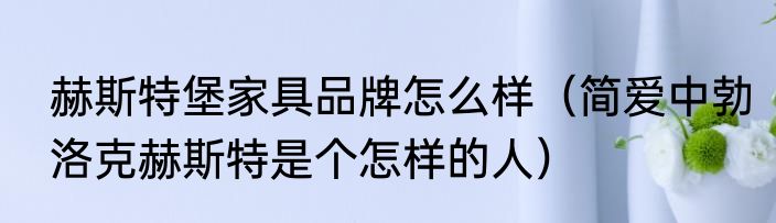 赫斯特堡家具品牌怎么样（简爱中勃洛克赫斯特是个怎样的人）