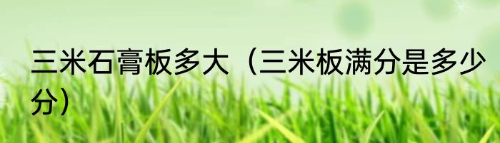 三米石膏板多大（三米板满分是多少分）