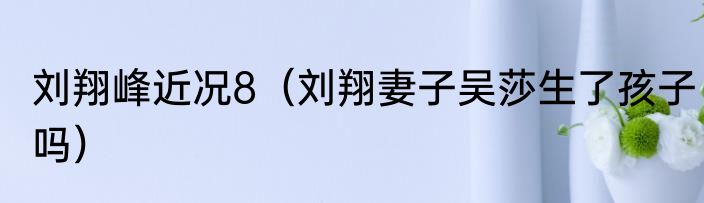 刘翔峰近况8（刘翔妻子吴莎生了孩子吗）