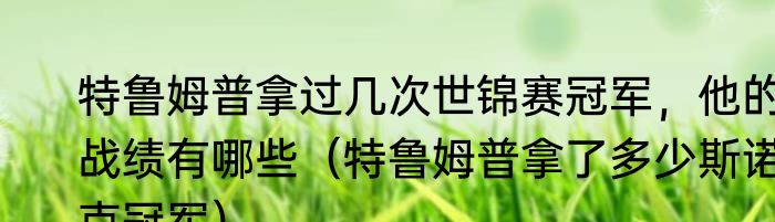 特鲁姆普拿过几次世锦赛冠军，他的战绩有哪些（特鲁姆普拿了多少斯诺克冠军）