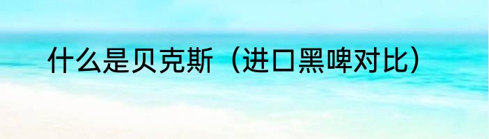 什么是贝克斯（进口黑啤对比）