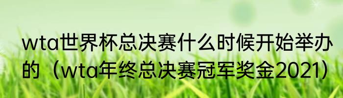 wta世界杯总决赛什么时候开始举办的（wta年终总决赛冠军奖金2021）