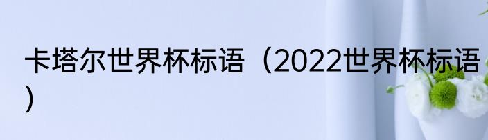 卡塔尔世界杯标语（2022世界杯标语）