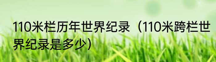 110米栏历年世界纪录（110米跨栏世界纪录是多少）