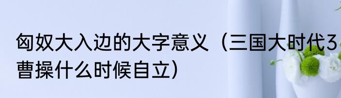 匈奴大入边的大字意义（三国大时代3曹操什么时候自立）