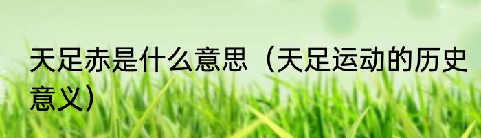天足赤是什么意思（天足运动的历史意义）